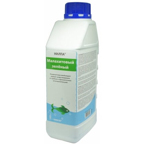 ���� ����������� ����� 