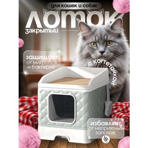 ���� ����� ��� ����� ������� �������� ������ � ������ � �����������, ������ ������