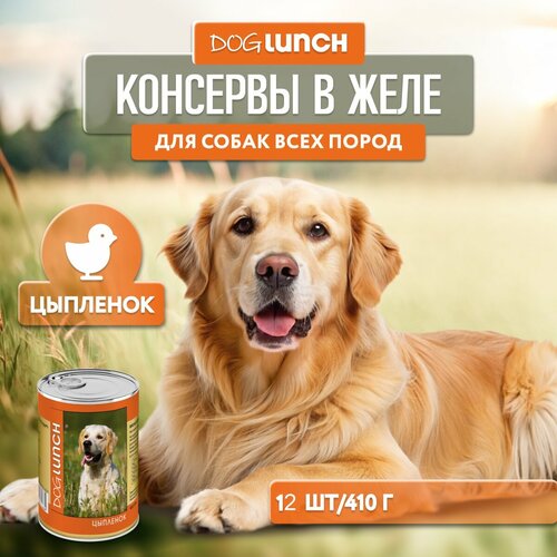      Dog Lunch  1 .  12 .  410    -     , -  