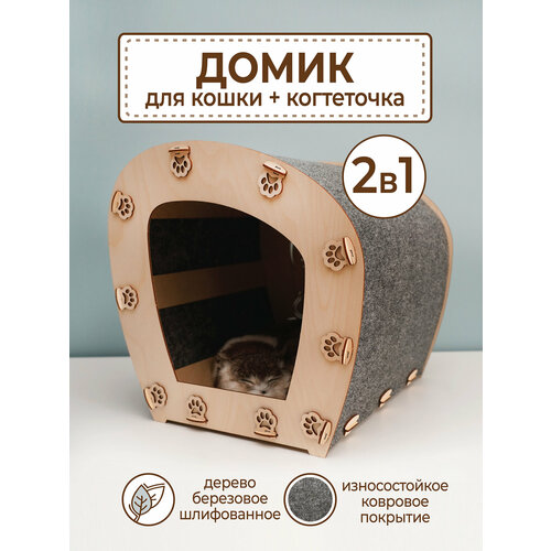 ���� ���������� ����� ��� ����� ���������, ������ ������