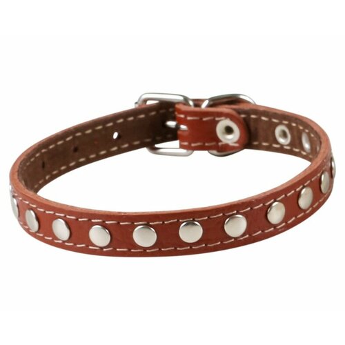 ���� ������� ������� � ��������� ��� ��������� ����� � ����������� / ��� ������, 12 �� �� 22-28, ������ ������