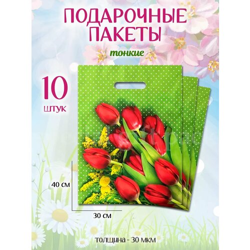 ���� ���������� ������ ����� ��������������, ������ ������