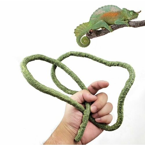 ���� ������������� ����� � ���� ����� �������� ����� ��� ���������� �������� ��� ������, ���������, ������, �����, �������� - 1 ����, ������ ������