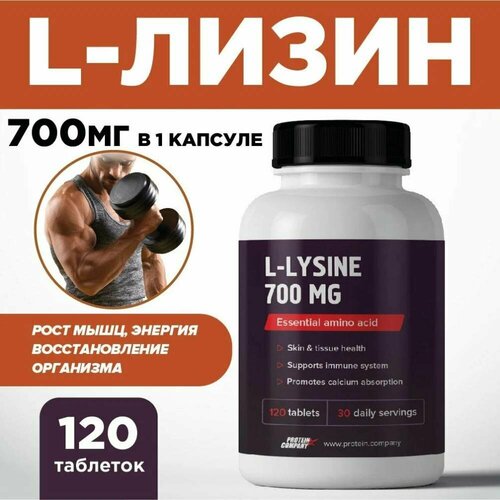   700 .    .    , ,  .  . l-lysine, 120 ,     -     , -  