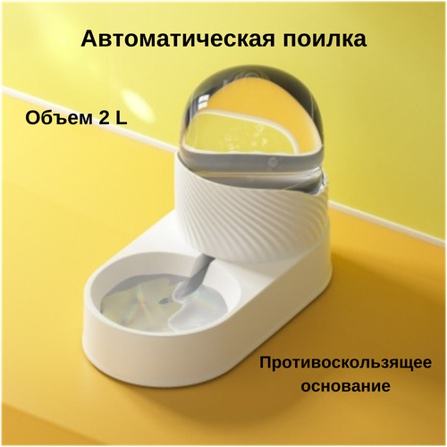 ���� �������������� ������ ��� ����� � ����� ��������� �����, ������ ������