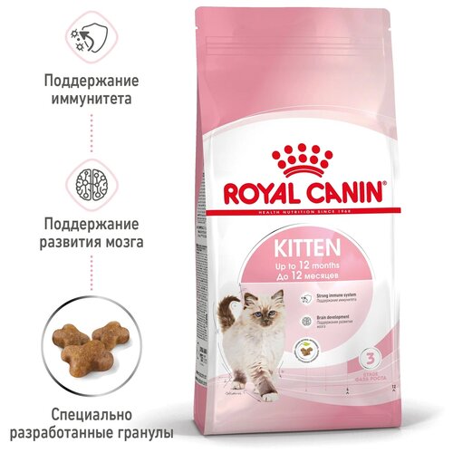      Royal Canin Kitten, 4 .  4    -     , -,   
