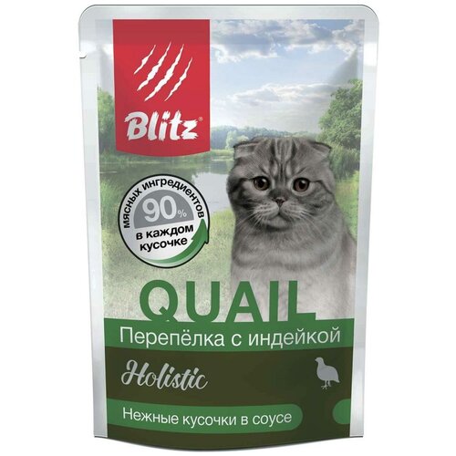  Blitz QUAIL         85 (1*24)   -     , -,   