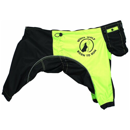 ���� ����������-�������� ������������ ��� ������ ����� �� ������� ��������-������ White Wolf (�����������), ������ ������