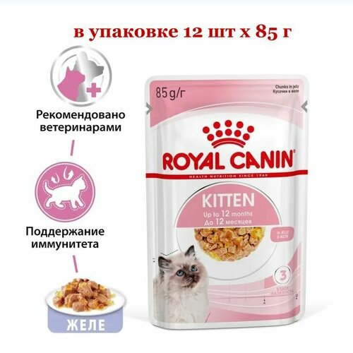      Royal Canin   , 12  x 85    -     , -  