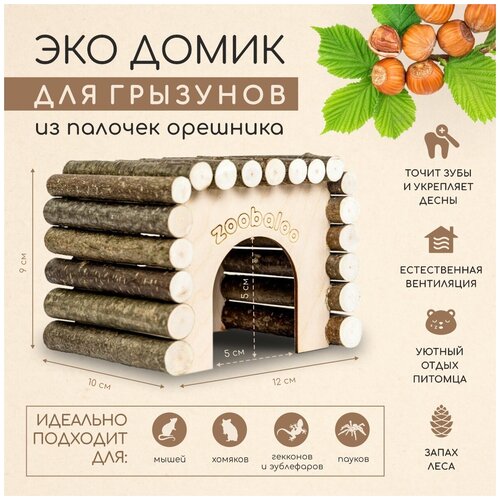 ���� ����� � ������ ��� ����� �������� �����, ������� 12�10�9��, ������ ������