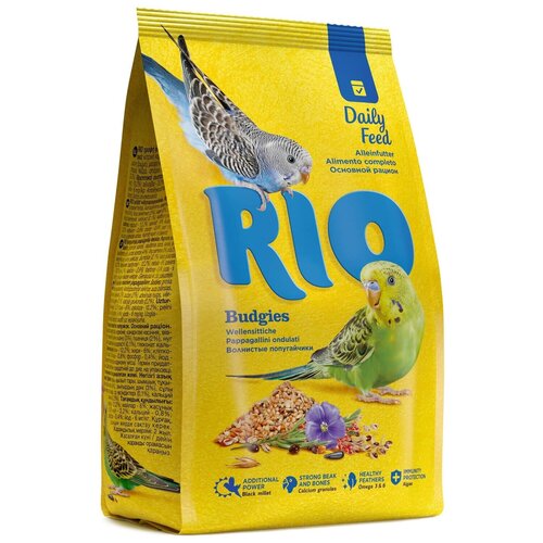  RIO  Daily feed   , 1   -     , -  