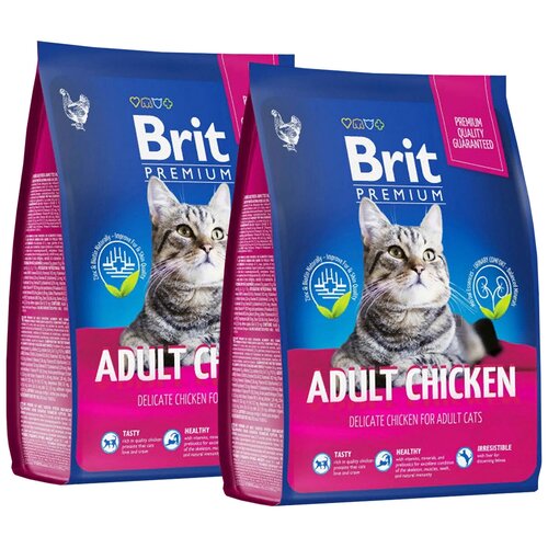  BRIT PREMIUM CAT LIGHT       (2 + 2 )   -     , -,   