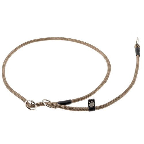 ���� �������� ���� ������� ZooOne (co ��������) � 2-� �������� ������� 6 ��, ����� �������� 85 ��, ������ ��� 85 ��, 1 ��., ���������, ������ ������