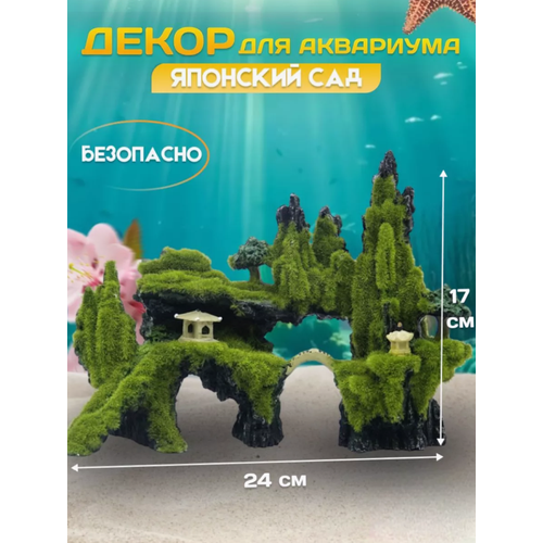 ���� �������� ��� ��������� ��� ���������, ������ ������