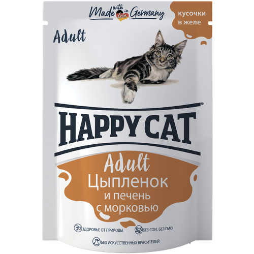      Happy Cat  ,  ,   24 .  100  (  )   -     , -  