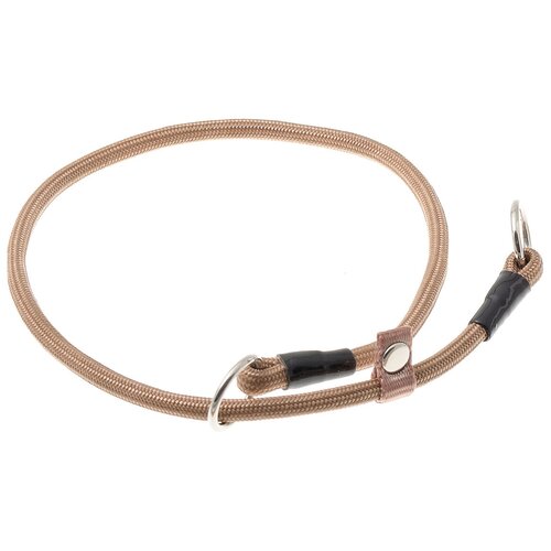 ���� �������� ���� ������� ZooOne (co ��������) � 2-� �������� ������� 6 ��, ����� �������� 45 ��, ������ ��� 45 ��, 1 ��., �����, ������ ������