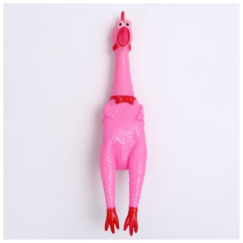 ���� �������   ��� �����  ����� ���������� ������ XL,  �������, ������ ������