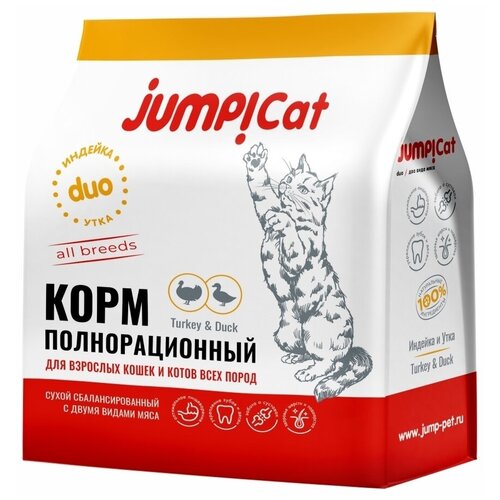    JUMP Cat Duo Adult       , 0,4 .   -     , -,   