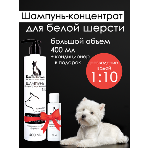   Doctor Groom    ,   , , , ,      , 400   -     , -  