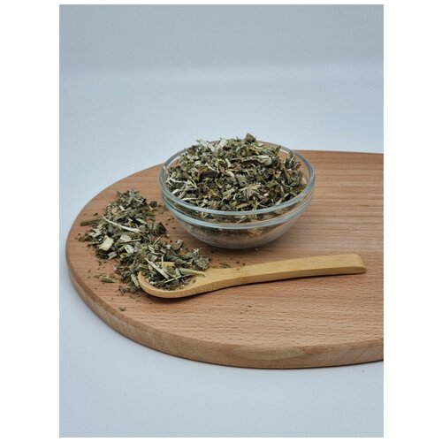 ���� ��������� ����� 1��, ������ ������