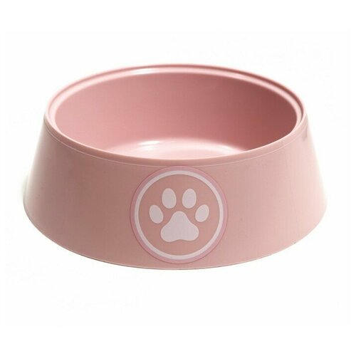 ���� ����� ��� ����� 