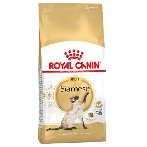       Royal Canin Siamese 2    -     , -,   
