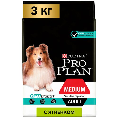    Pro Plan       ,  , 3    -     , -  