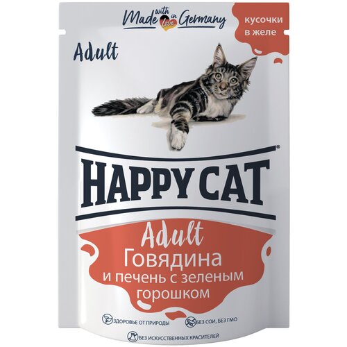      Happy Cat  ,  ,   24 .  100  (  )   -     , -,   