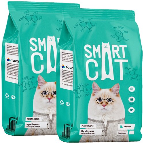  SMART CAT          (1,4 + 1,4 )   -     , -,   