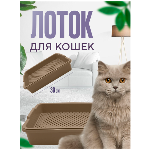 ���� ����� � �������� � ��������� ��� ����� DOMSIDE, �������, ������ ������