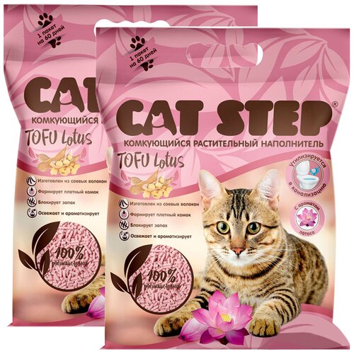  CAT STEP TOFU LOTUS      (12 + 12 )