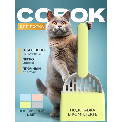 ���� ����� ��� ������ ��������� ������� � ����������, �������, ������ ������