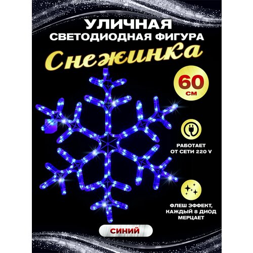 ���� ��������� ������������ ������ �������� ������� �������� 60 �� � ��������� �����, ������ ������