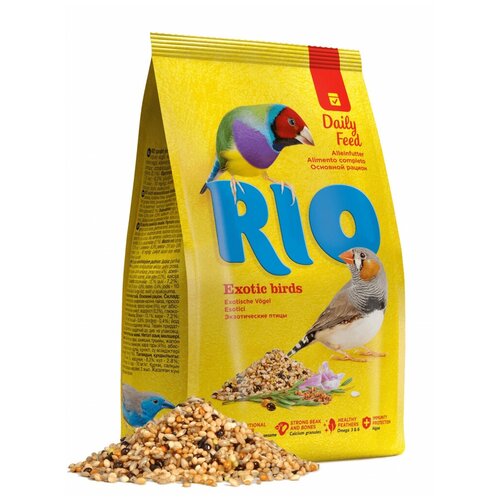  RIO    ,  , 1    -     , -,   