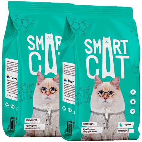  SMART CAT          (0,4 + 0,4 )   -     , -,   