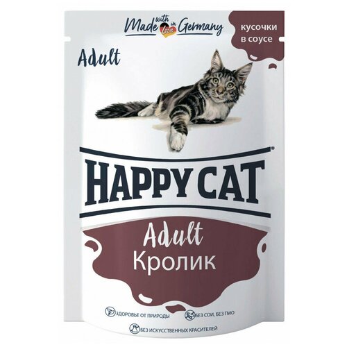  Happy Cat    ,  (0.1 ) 24    -     , -,   