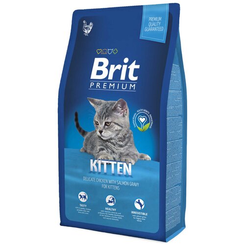      Brit Premium Cat     2000  (  )   -     , -  