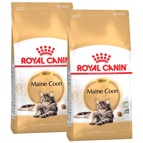    ROYAL CANIN MAINE COON ADULT      (2 + 2 )   -     , -  