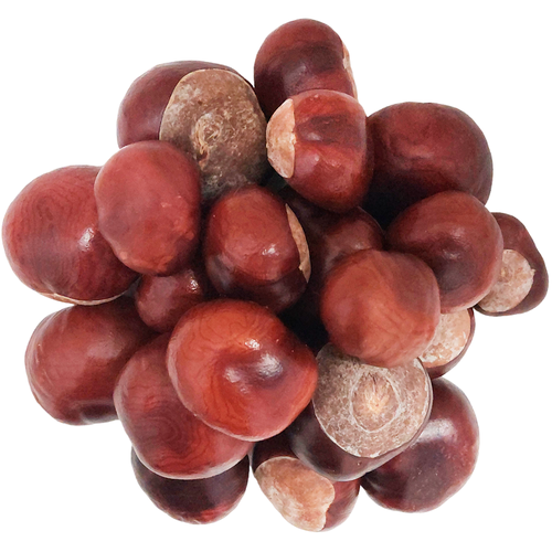 ���� ������, ����� 500�., ������ ������