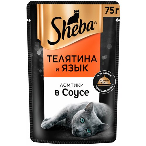  SHEBA           (75 )   -     , -,   