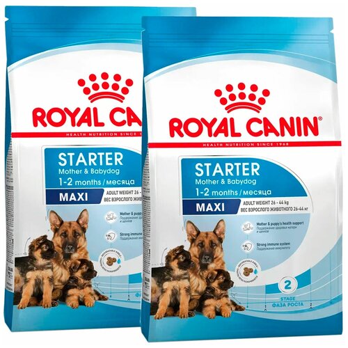  ROYAL CANIN MAXI STARTER      2 ,     (15 + 15 )   -     , -  