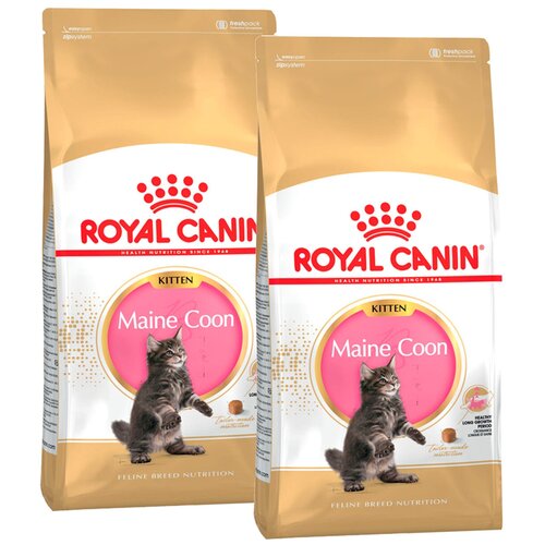  ROYAL CANIN MAINE COON KITTEN 36     (10 + 10 )