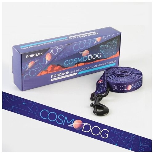   COSMO DOG, , 2 , 3  (1 .)   -     , -,   