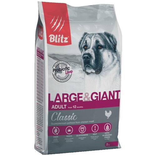  Blitz Classic Large & Giant Breeds Adult Dog       ,  2    -     , -,   