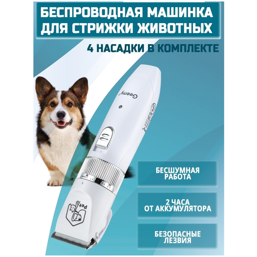 ���� ������� ��� ������� �������� ��������. ������� ��� ����� � ����� �������������, ������ ������