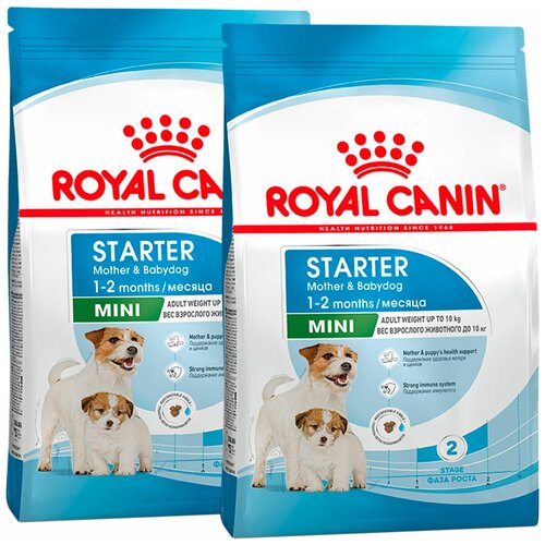  ROYAL CANIN MINI STARTER      2 ,     (3 + 3 )   -     , -  