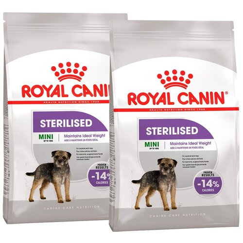    ROYAL CANIN MINI STERILISED ADULT         (3 + 3 )   -     , -  