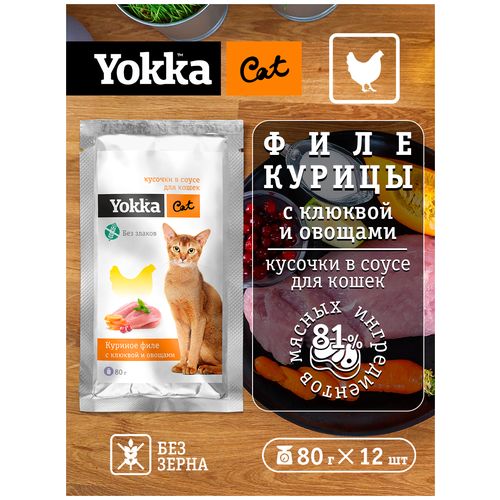  Yokka Cat            ,   , 80 (12 /)   -     , -,   