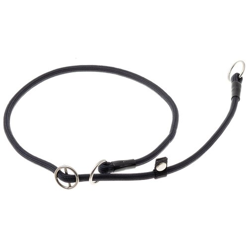 ���� �������� ���� ������� ZooOne (co ��������) � 2-� �������� ������� 6 ��, ����� �������� 70 ��, ������ ��� 70 ��, 1 ��., ������, ������ ������