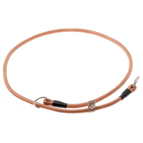 ���� �������� ���� ������� ZooOne (co ��������) � 2-� �������� ������� 6 ��, ����� �������� 75 ��, ������ ��� 75 ��, 1 ��., ����, ������ ������